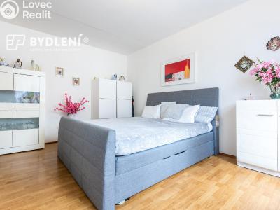 Prodej bytu 1+1 Krupka, Karla Čapka 243 č. 3