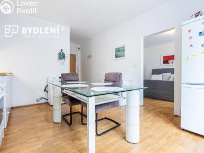 Prodej bytu 1+1 Krupka, Karla Čapka 243 č. 4
