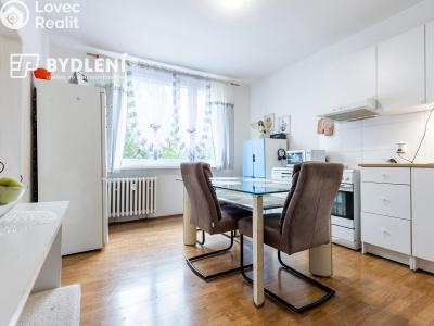 Prodej bytu 1+1 Krupka, Karla Čapka 243 č. 5