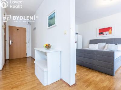 Prodej bytu 1+1 Krupka, Karla Čapka 243 č. 7