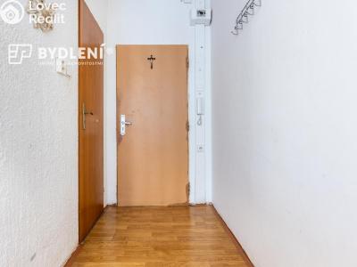 Prodej bytu 1+1 Krupka, Karla Čapka 243 č. 8