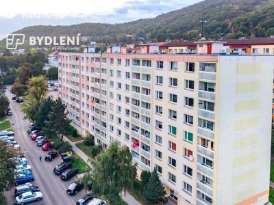Prodej bytu 1+1 Krupka, Karla Čapka 243 č. 13