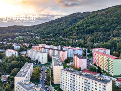 Prodej bytu 1+1 Krupka, Karla Čapka 243 č. 14