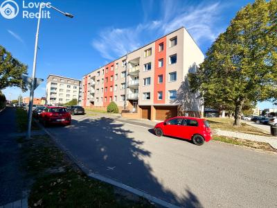 Pronájem bytu 1+1 Bor, Borská č. 21