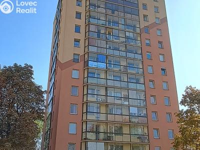 Sale apartment 2+1 Karlovy Vary, Dvořákova č. 1