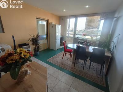 Sale apartment 2+1 Karlovy Vary, Dvořákova č. 4