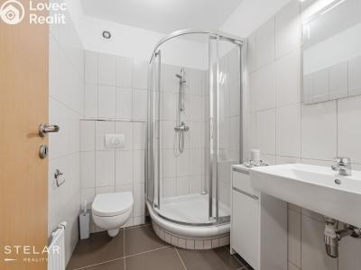 Продажа семейного дома Vřesina, Hřbitovní 830 č. 13