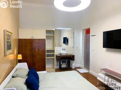 Rent apartment 1+1 Praha, Hálkova č. 4