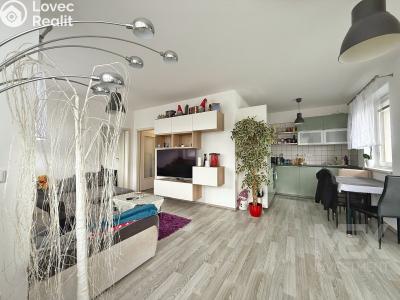 Sale apartment 2+KK Hradec Králové, Antonína Petrofa č. 2