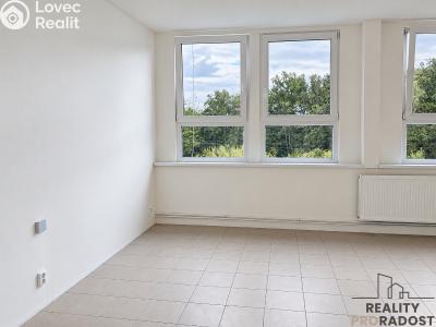 Аренда квартиры 1+1 Moravský Krumlov, Tiskárenská č. 3