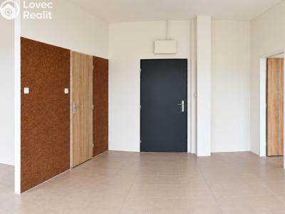 Аренда квартиры 1+1 Moravský Krumlov, Tiskárenská č. 4