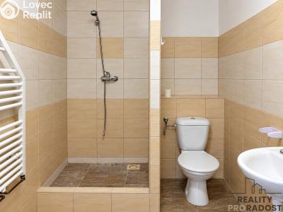 Аренда квартиры 1+1 Moravský Krumlov, Tiskárenská č. 7