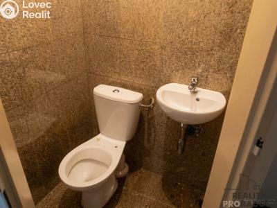 Pronájem bytu 1+KK Praha, Freyova č. 5