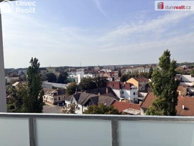 Pronájem bytu 1+KK Břeclav, J. Palacha č. 5
