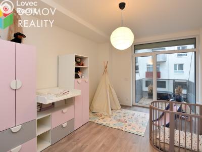 Rent apartment 3+KK Beroun, Nepilova č. 4