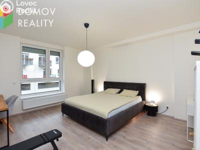 Rent apartment 3+KK Beroun, Nepilova č. 11