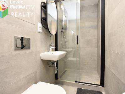 Rent apartment 3+KK Beroun, Nepilova č. 13