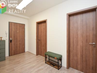 Rent apartment 3+KK Beroun, Nepilova č. 16