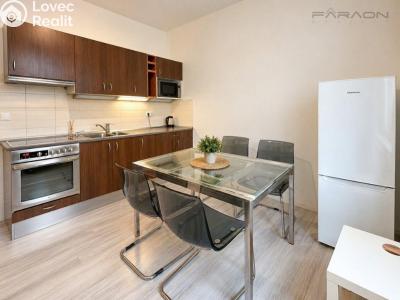 Rent apartment 1+1 Praha, Sportovní č. 2