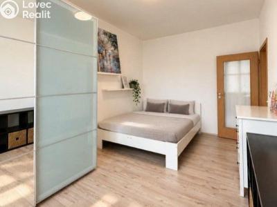 Rent apartment 1+1 Praha, Sportovní č. 3