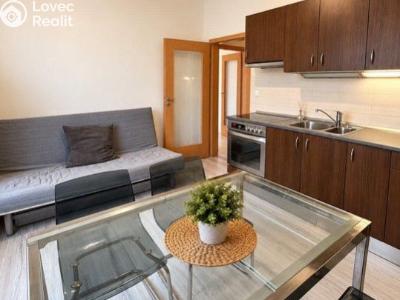 Rent apartment 1+1 Praha, Sportovní č. 7