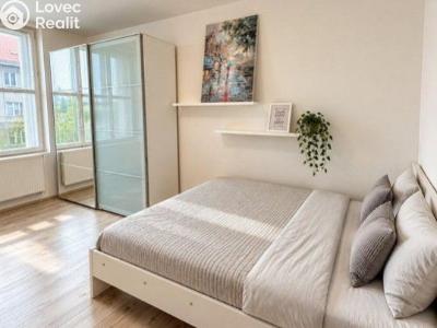Rent apartment 1+1 Praha, Sportovní č. 8