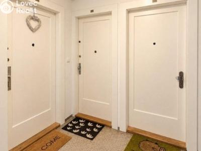 Rent apartment 1+1 Praha, Sportovní č. 9