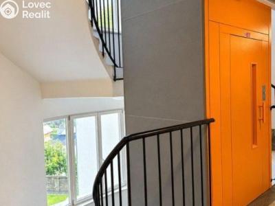 Rent apartment 1+1 Praha, Sportovní č. 10