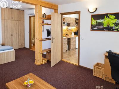 Rent apartment 2+KK Sudoměřice č. 6