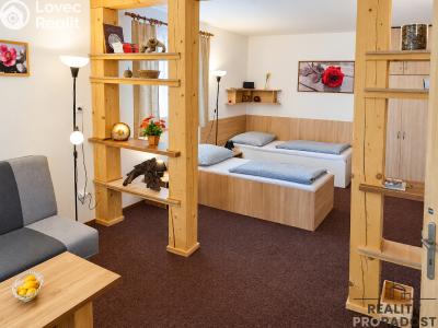 Rent apartment 2+KK Sudoměřice č. 9