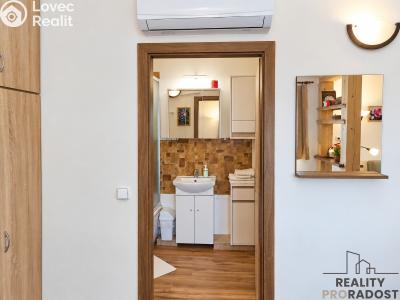 Rent apartment 2+KK Sudoměřice č. 11
