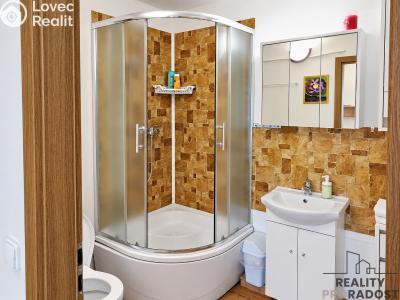 Rent apartment 2+KK Sudoměřice č. 12