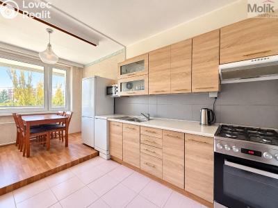 Rent apartment 3+1 Most, Františka Malíka č. 2