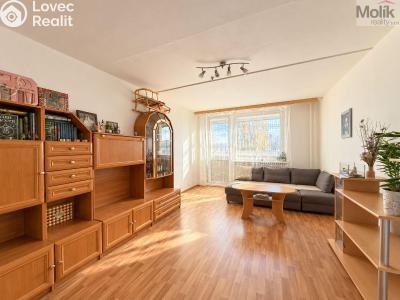 Rent apartment 3+1 Most, Františka Malíka č. 3