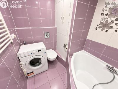 Rent apartment 3+1 Most, Františka Malíka č. 5