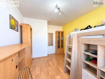 Rent apartment 3+1 Most, Františka Malíka č. 9
