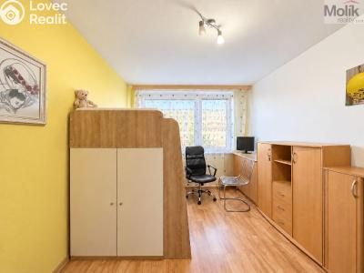 Rent apartment 3+1 Most, Františka Malíka č. 10