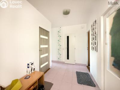 Rent apartment 3+1 Most, Františka Malíka č. 11