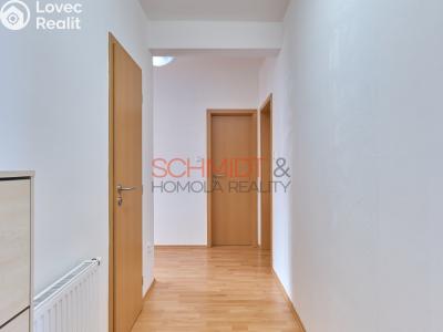 Продажа квартиры 3+KK Hustopeče, U Větrolamu č. 11
