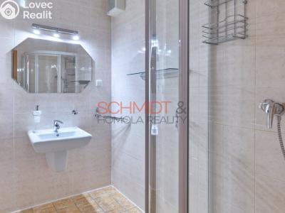 Продажа квартиры 3+KK Hustopeče, U Větrolamu č. 16