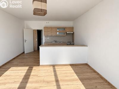 Pronájem bytu 1+KK Orlová, F. S. Tůmy č. 4