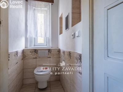 Prodej vícegeneračního domu Chlumec nad Cidlinou, Máchova č. 14