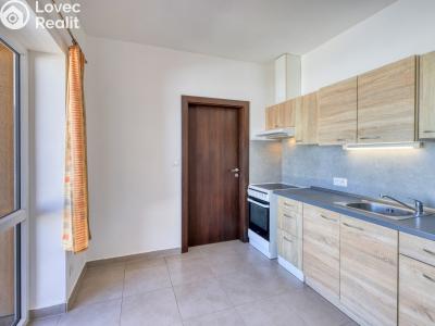 Продаж квартири 2+1 Plzeň, U Borských kasáren č. 1