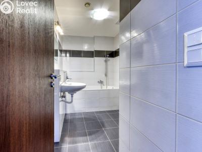 Продаж квартири 2+1 Plzeň, U Borských kasáren č. 16