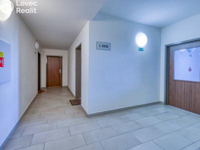 Продаж квартири 2+1 Plzeň, U Borských kasáren č. 22