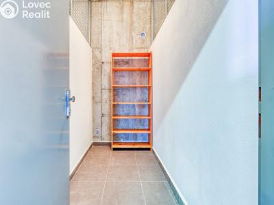 Продаж квартири 2+1 Plzeň, U Borských kasáren č. 26