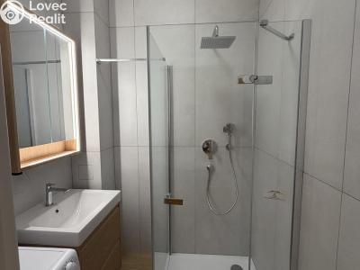Pronájem bytu 2+1 Praha č. 4