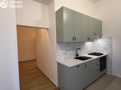 Pronájem bytu 2+1 Praha č. 7