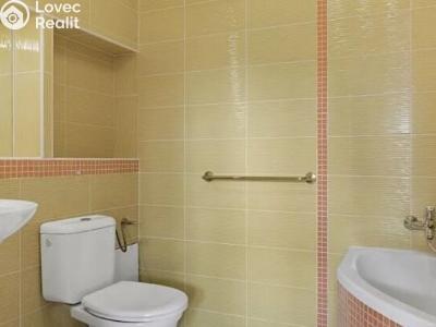 Продажа семейного дома Tuklaty, Akátová č. 17