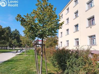 Pronájem bytu 1+1 Znojmo, Slovenská č. 7